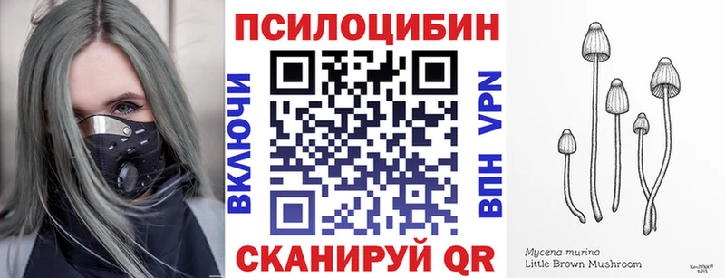 Псилоцибиновые грибы Psilocybine cubensis  Кропоткин 