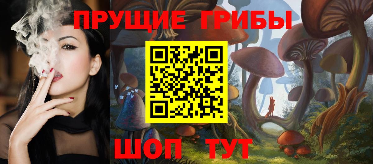 Галлюциногенные грибы Psilocybe  Псилоцибиновые грибы ЛСД  Вход с VPN  Кропоткин 